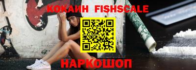 дмт Кингисепп