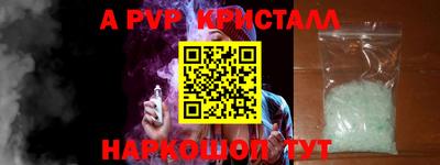дмт Кингисепп