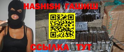 дмт Кингисепп